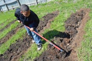 Community garden’s success to be celebrated Saturday in Cedar Rapids