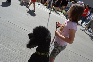 Emily McCoy watches the crowd pass with her dog, Chase, a standard poodle at the Downtown Farmers Market in Cedar Rapids. Both were helping promote K9COLA, including the upcoming grand opening of K9 Acres Dog Park at 10 a.m. June 8, at Squaw Creek Park in Marion. (photo/Cindy Hadish)