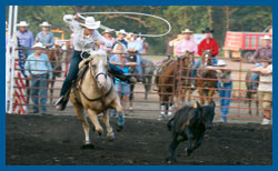 Rodeo events are among the activities at the fair. (photo/Linn County Fair)