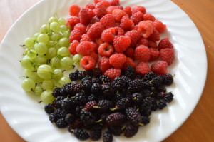 Gooseberries, red raspberries and mulberries are abundant in Iowa this year. (photo/Cindy Hadish)