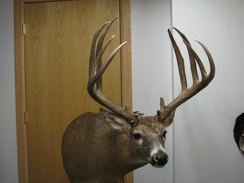 What Does Poaching Deer Mean at Robert Marquez blog
