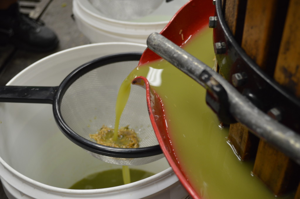 Grape juice flows from the press through a strainer to separate the rice hulls and grape skins. (photo/Cindy Hadish)