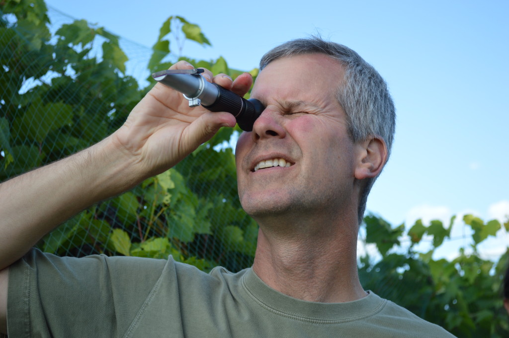 A refractometer is held to the sunlight to check the sugar level in the grapes. (photo/Cindy Hadish)