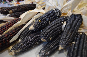 Colorful corn is sold at the indoor Mount Vernon Farmers Market on Saturday, Nov. 23, 2013. (photo/Cindy Hadish)