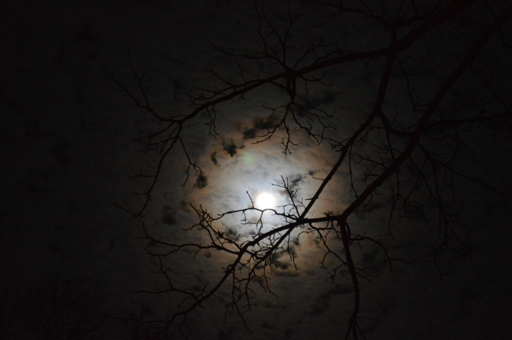 Clouds covering a recent full moon. (photo/Cindy Hadish)