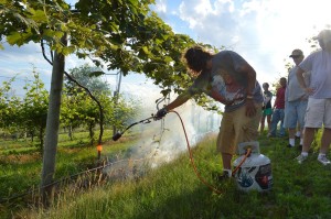 Flamethrowers have multiple uses, including killing weeds, as shown in the Vineyard Management class at Kirkwood Community College last summer. (photo/Cindy Hadish)