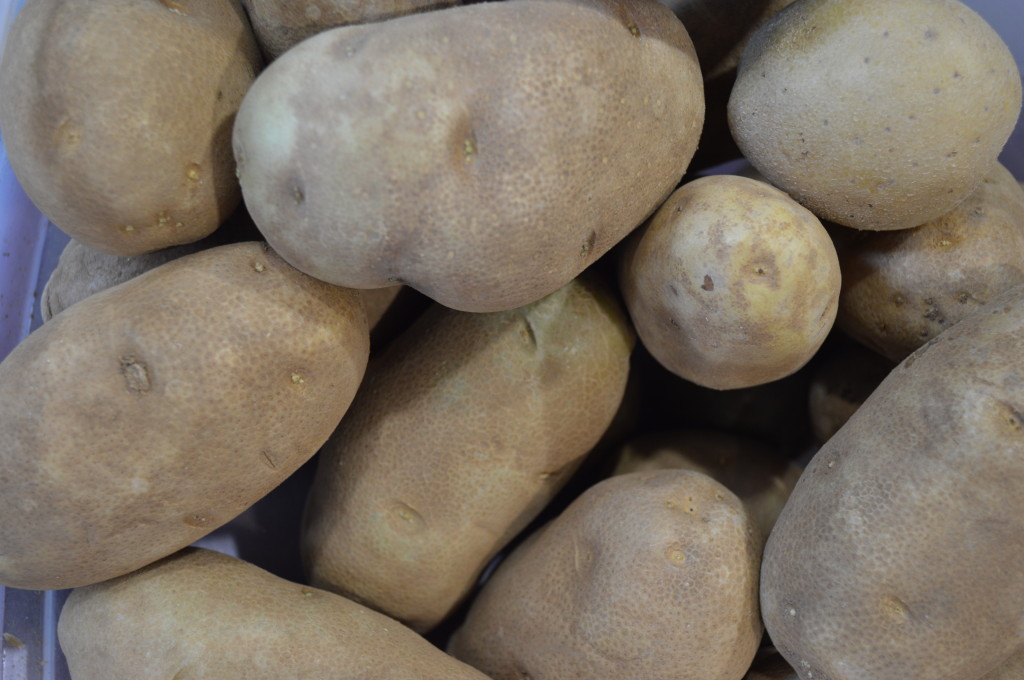 Gardening folklore Planting potatoes on Good Friday and phases of the moon Homegrown Iowan