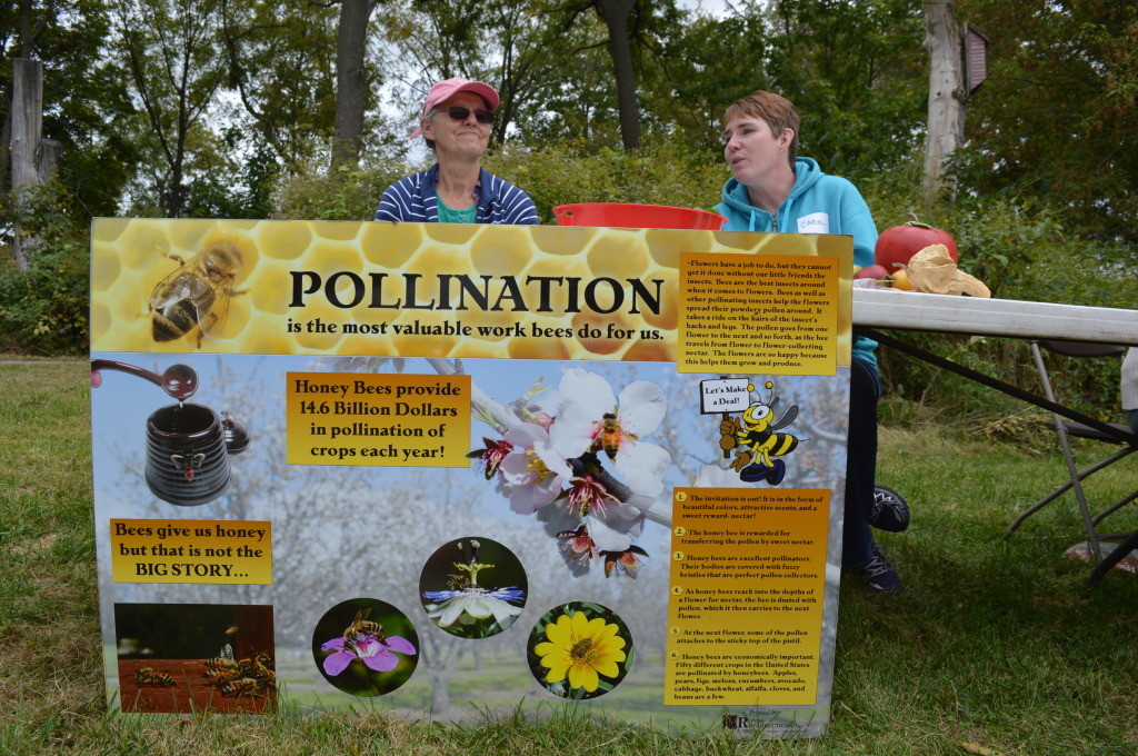 Education is a prime part of Honey Fest, with boards that explain the importance of bees. (photo/Cindy Hadish)