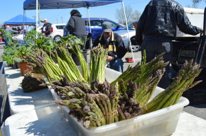 Asparagus, sold at the Hiawatha farmers market in April 2015, is among the in-season produce found at farmers markets at this time of year. (photo/Cindy Hadish)