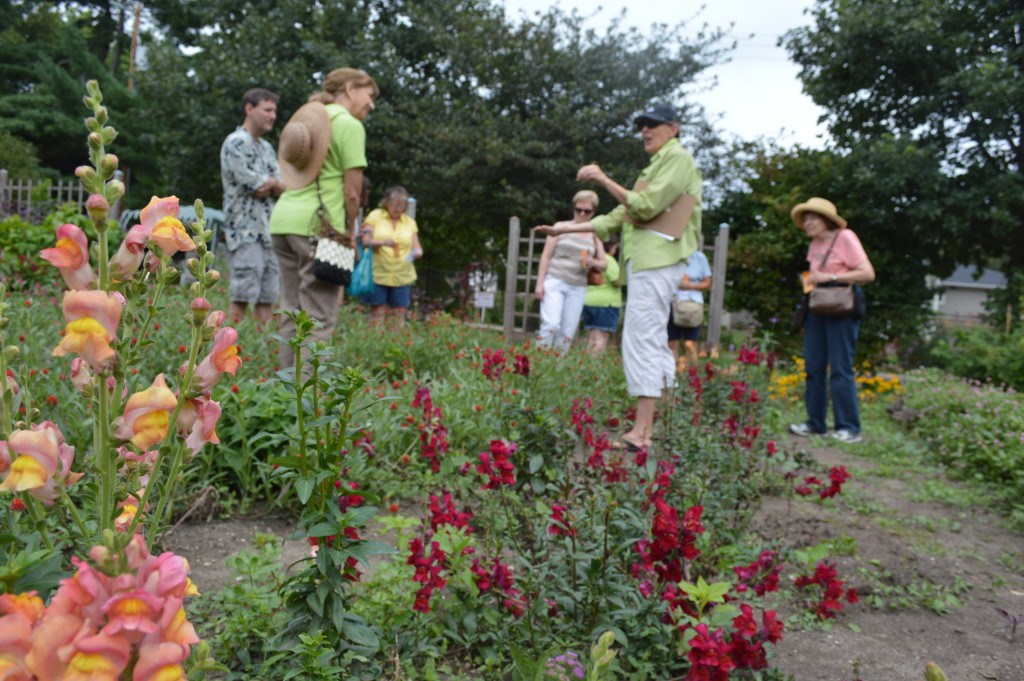 A seed-saving workshop in the Brucemore cutting gardens, was among the presentations during the Brucemore Garden & Art Show on Saturday, Aug. 22, 2015. (photo/Cindy Hadish)