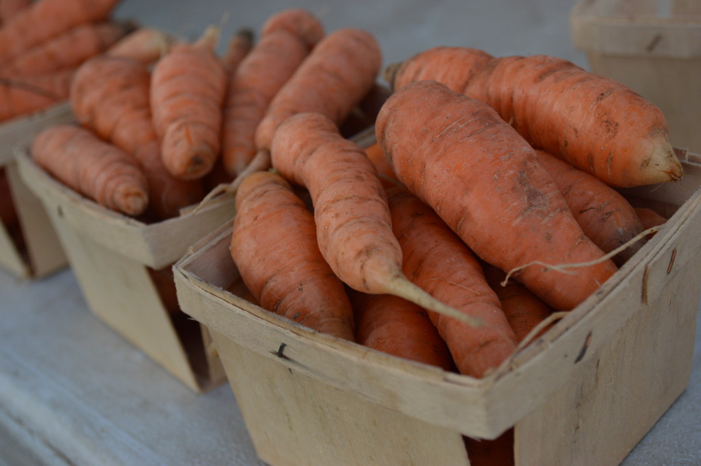Fresh carrots were among the recent shares from Farmer Dave's CSA. (photo/Cindy Hadish)
