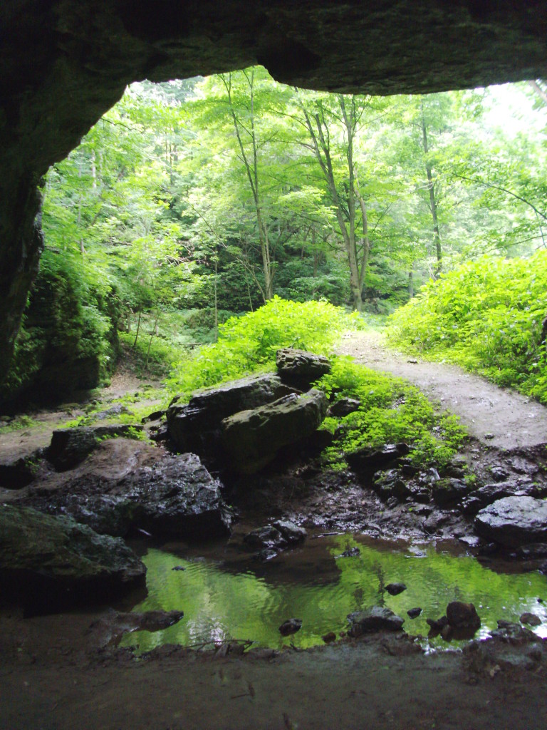 Maquoketa Caves State Park is among the Iowa parks offering free, guided hikes on New Year's Day 2016. (photo/Cindy Hadish)