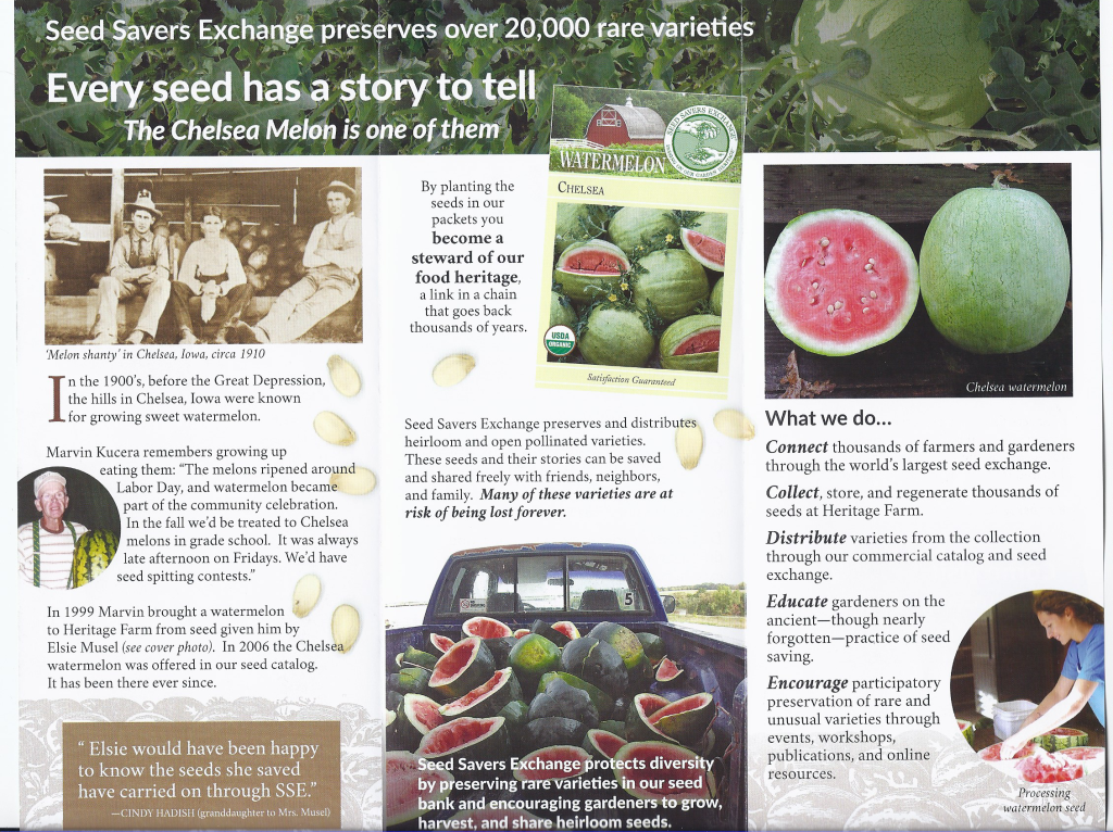 The Seed Savers Exchange brochure tells the story of the Chelsea Melon. 