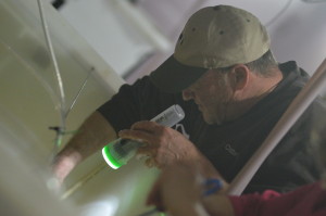 Denny Rehberg uses a flashlight to check conditions in the shrimp nursery on the Rehberg farm in Walker, Iowa. (photo/Cindy Hadish)