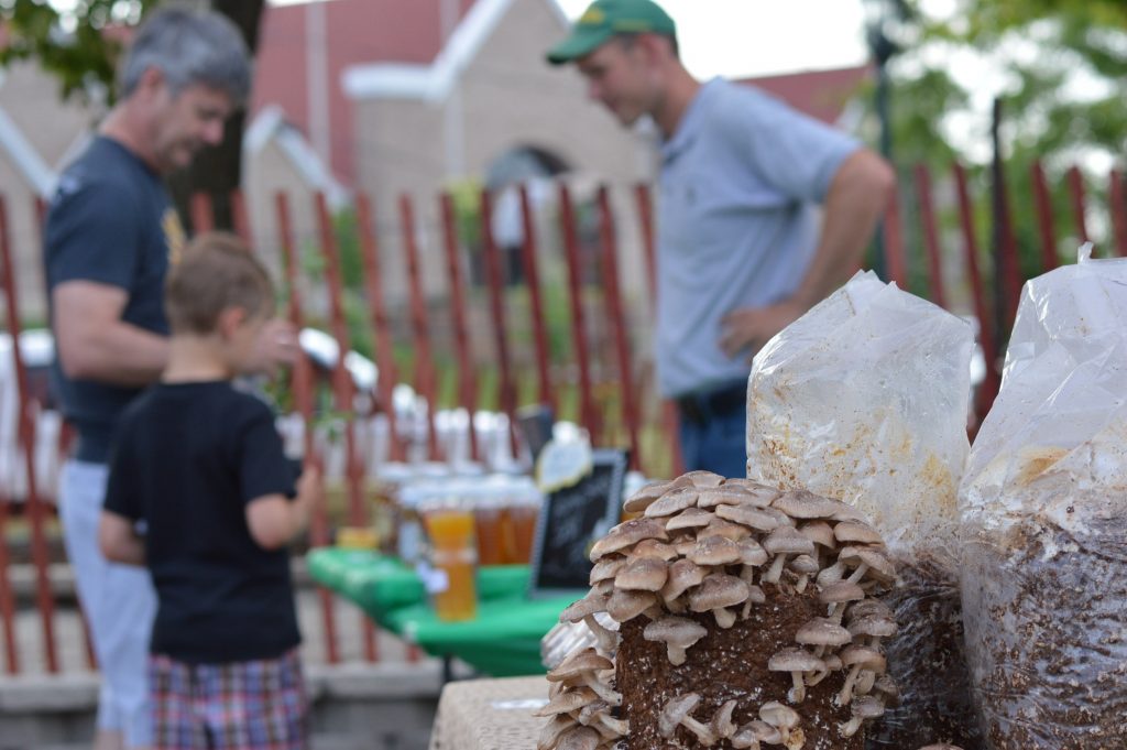 Mushroom grow kits were among the items sold during the debut of the Lion Bridge Farmers Market on Thursday, June 9, 2016, in Czech Village in Cedar Rapids, Iowa. (photo/Cindy Hadish)