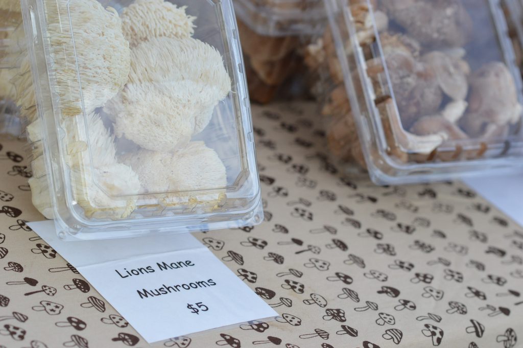 Mushroom Mills of Columbus Junction, Iowa, sold lion's mane and shiitake mushrooms at the farmers market at Lion Bridge Brewing Company in Czech Village. (photo/Cindy Hadish)