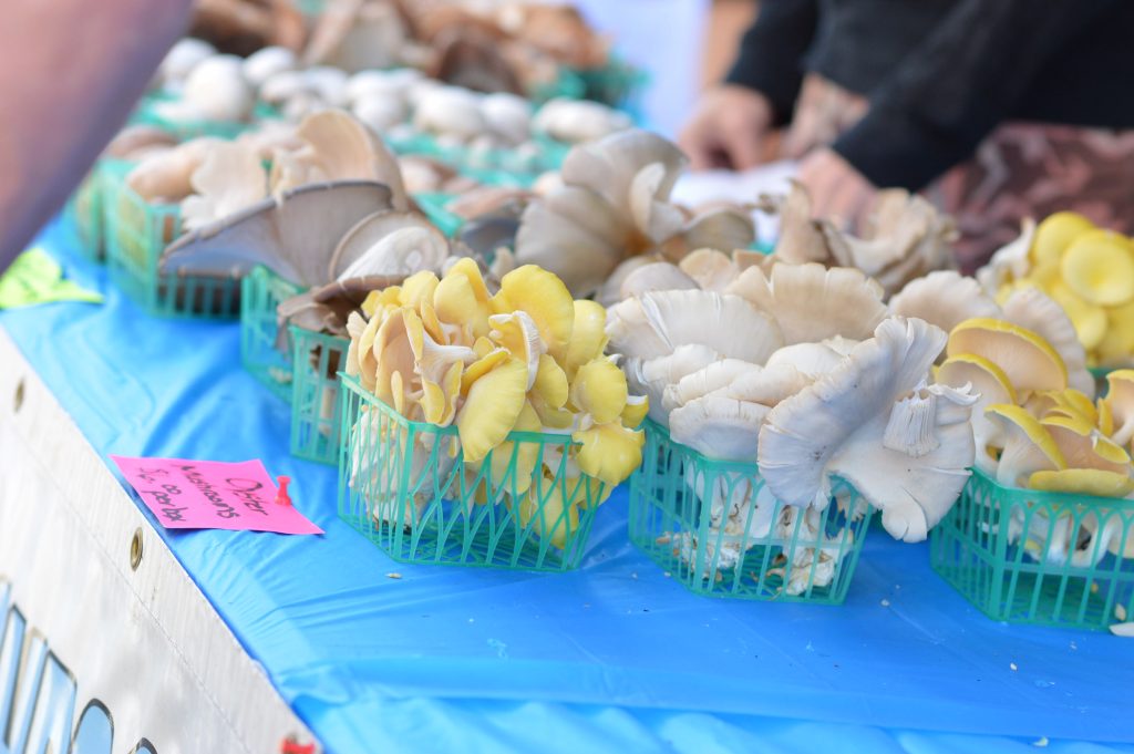 Blues Best Mushrooms of Vinton, Iowa, sold a variety of mushrooms at the Downtown Farmers Market on Saturday, June 4, 2016. (photo/Cindy Hadish)
