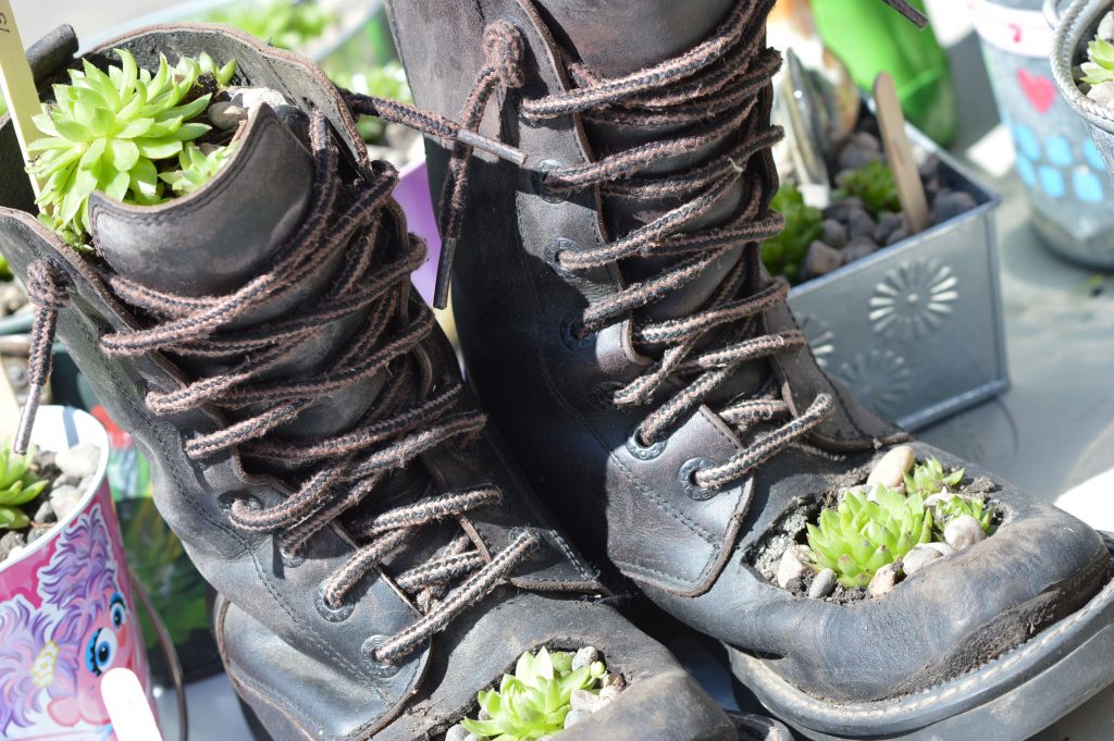Boots planted with hen & chicks were among the items sold by Sharon French of Cedar Rapids at the Downtown Farmers Market. (photo/Cindy Hadish)