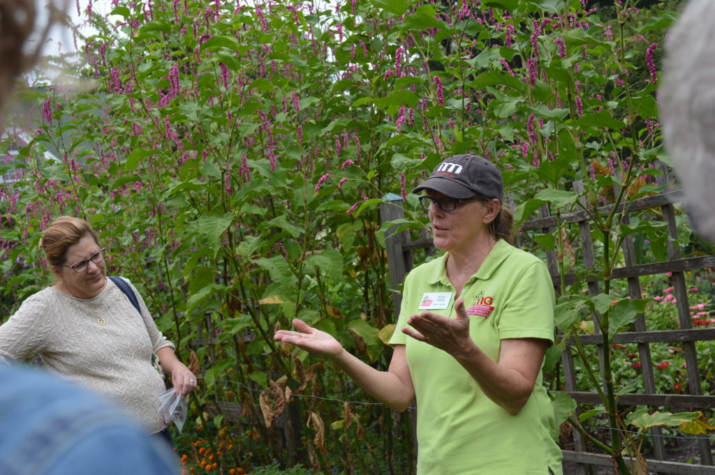 Linn County Master Gardener, Peggy Green, leads a seed-saving walk at Brucemore. (photo/Cindy Hadish)