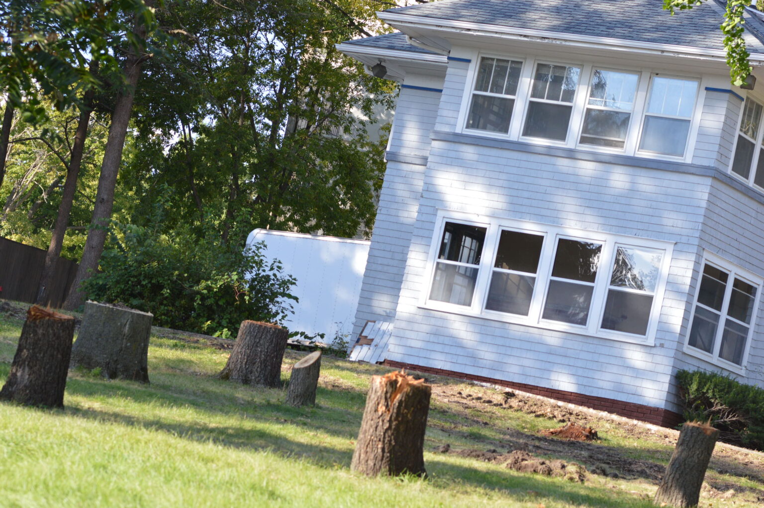 Cedar Rapids neighborhood trees clearcut for new development along