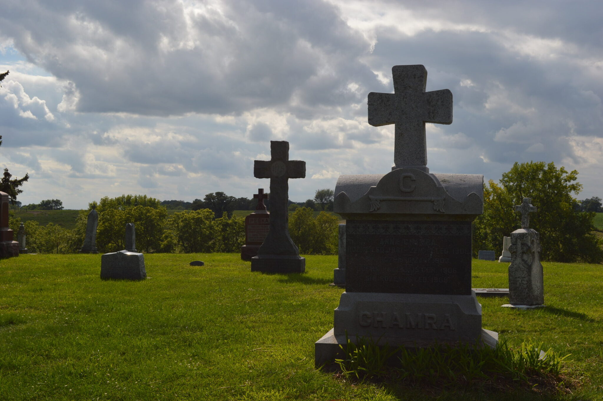 Iowa surpasses 10,000 COVID19 deaths Homegrown Iowan