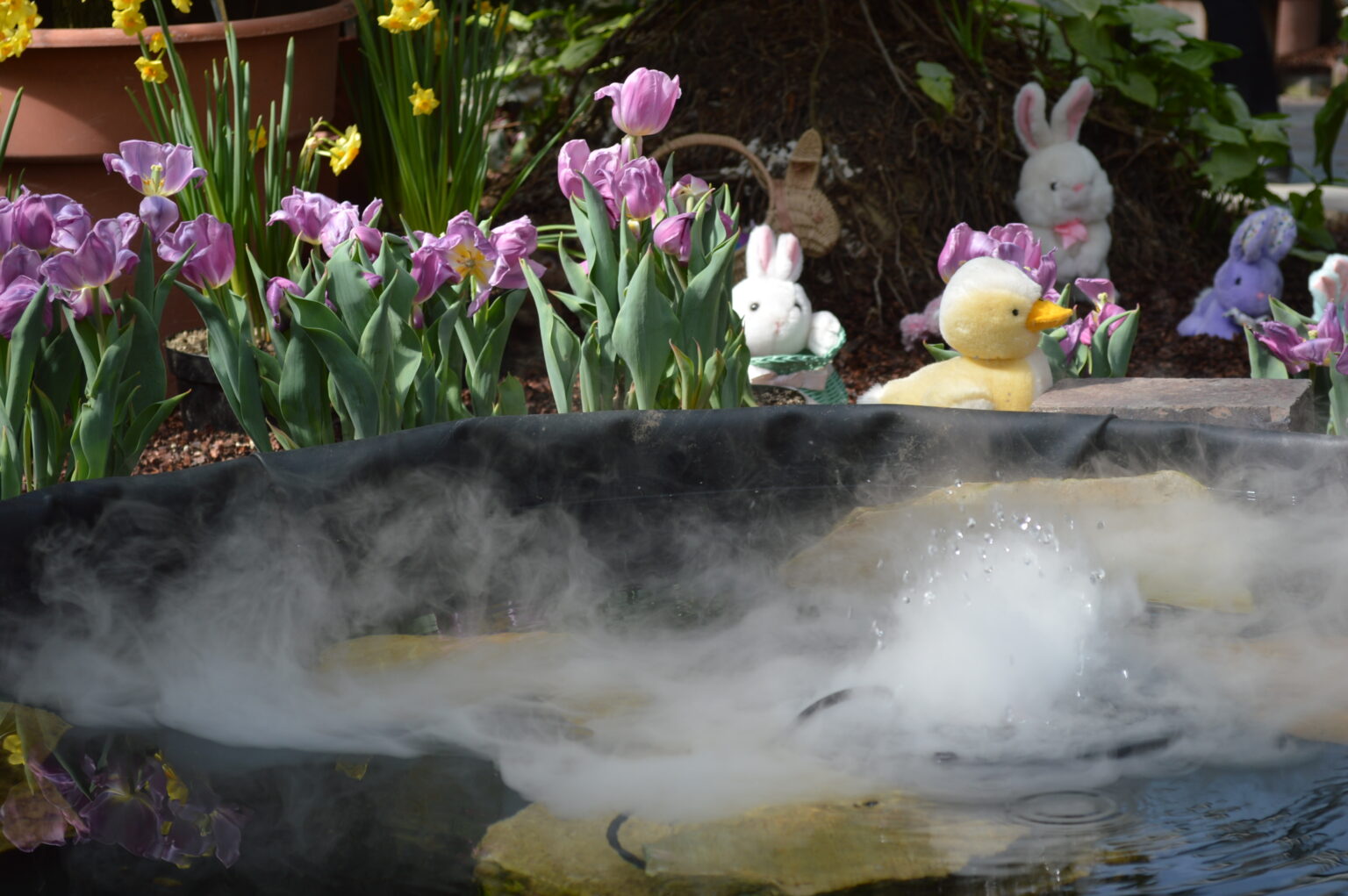 Easter Showcase plans return to Noelridge Greenhouse in Cedar Rapids