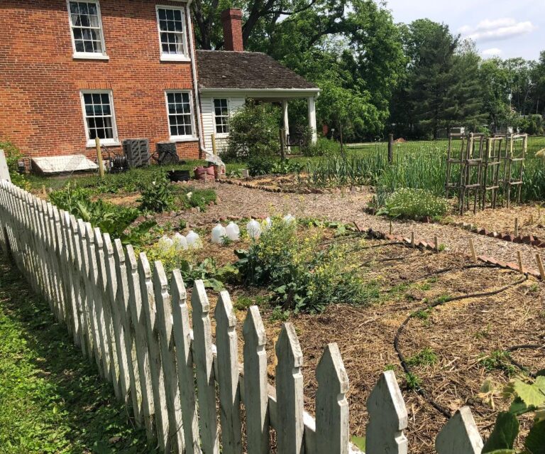 Taste of the Heritage Garden celebrates 25th anniversary at Plum Grove